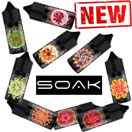 Жидкость SOAK L Salt - Blueberry Gum 30мл (20mg) (Premium)